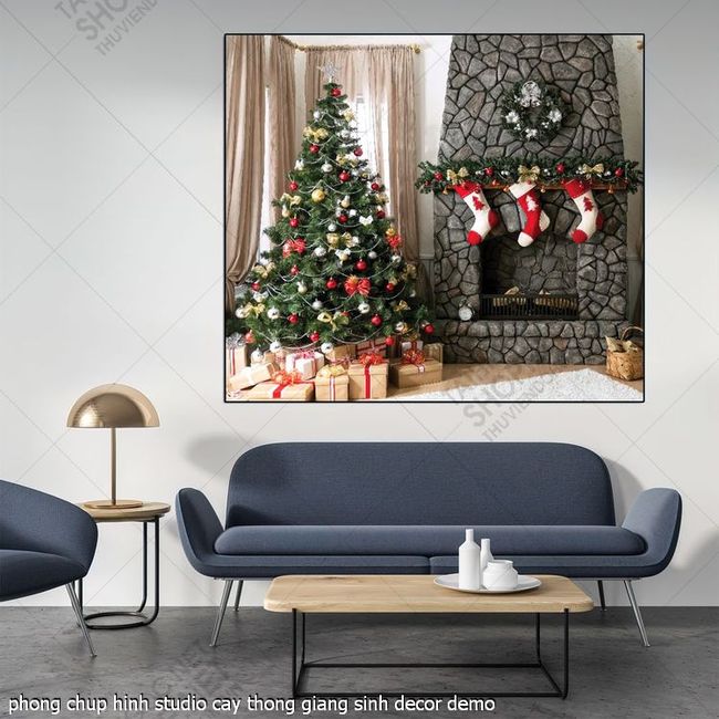 phong chup hinh studio cay thong giang sinh decor